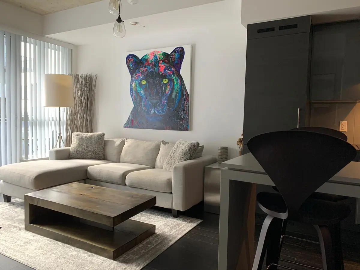 Toronto C01, ON M6K 0B4,1030 King ST W #1201