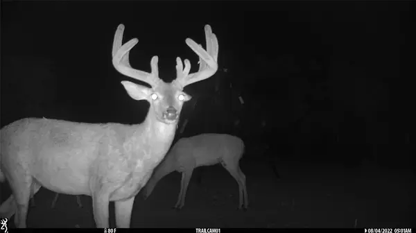 1078 County Road 498, Goldsboro, TX 79519