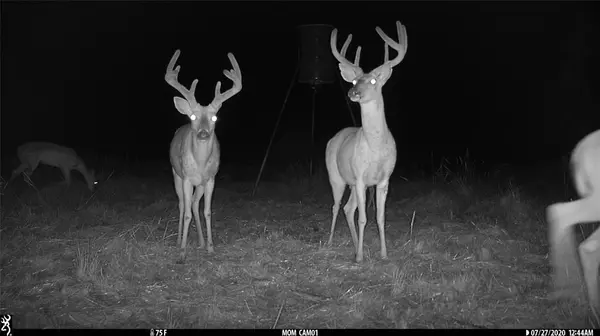 Goldsboro, TX 79519,1078 County Road 498