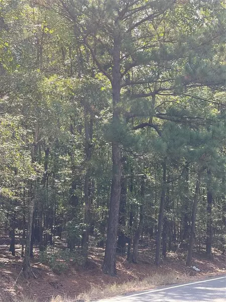 0 Ferry Lake Tract C, Oil City, LA 71061