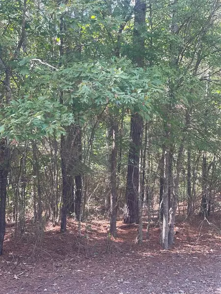 0 Ferry Lake Tract B, Oil City, LA 71061