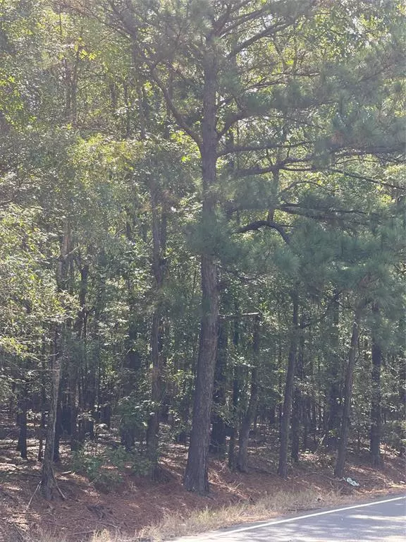 0 Ferry Lake Tract C, Oil City, LA 71061