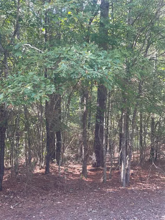 0 Ferry Lake Tract B, Oil City, LA 71061