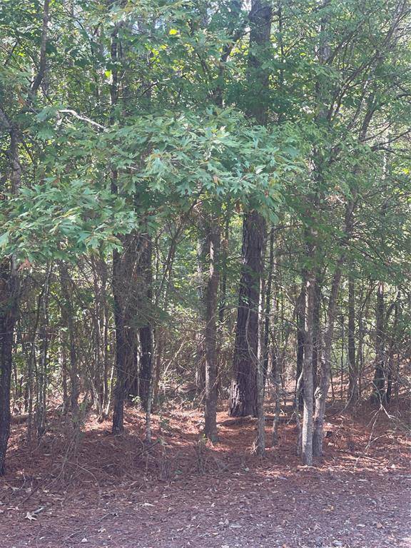 0 Ferry Lake Tract B, Oil City, LA 71061