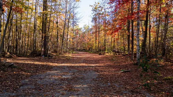 Ramara, ON L3V 0P6,2085 MONCK RD