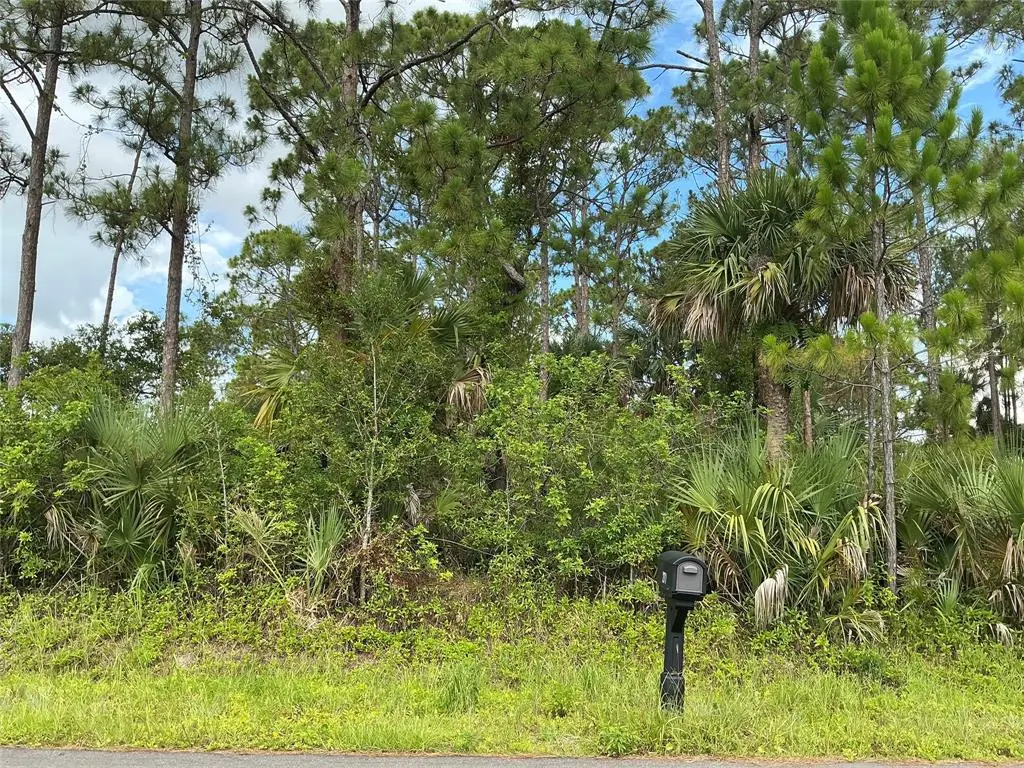 Palm Bay, FL 32907,270 MARDI GRAS