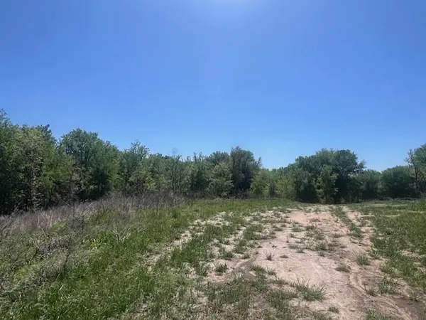 Brock, TX 76087,1004 Bermes Court