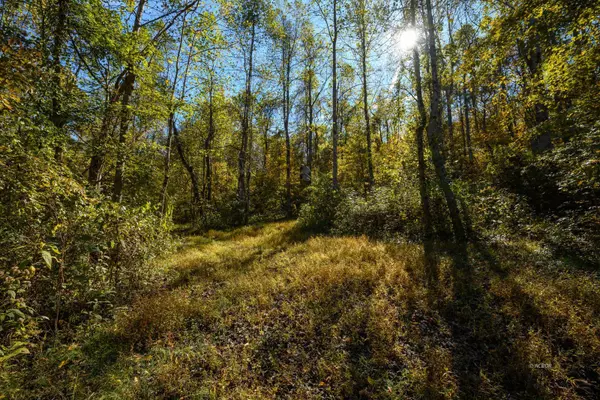 Gallipolis, OH 45631,Neighborhood Rd.