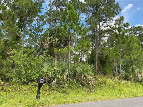 Palm Bay, FL 32907,270 MARDI GRAS