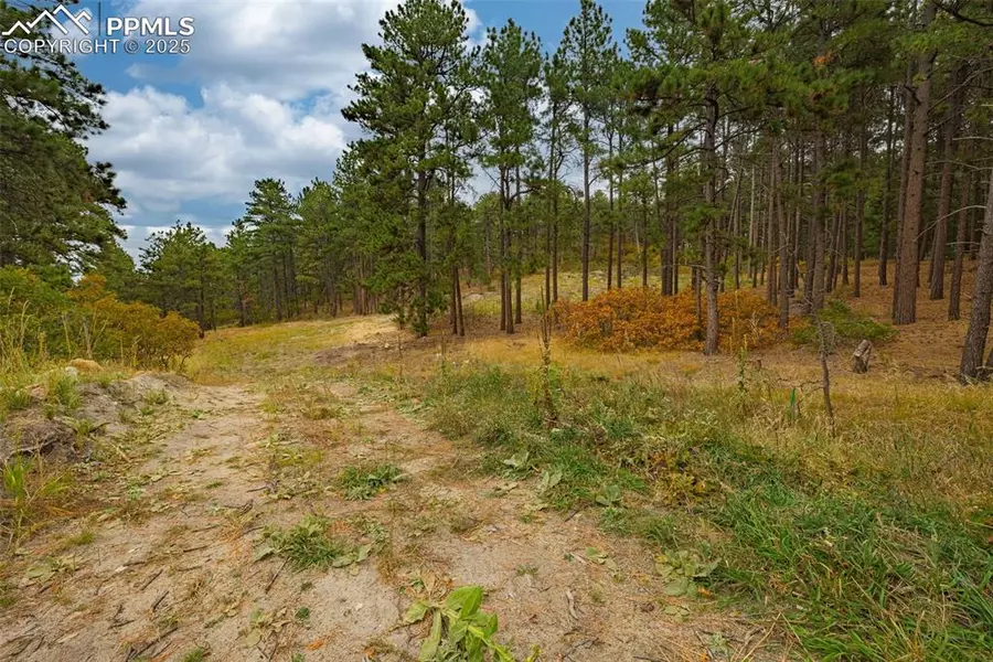 14420 S Perry Park RD, Larkspur, CO 80118