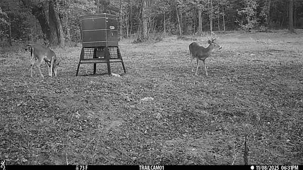 Winona, TX 75792,TBD C R 354