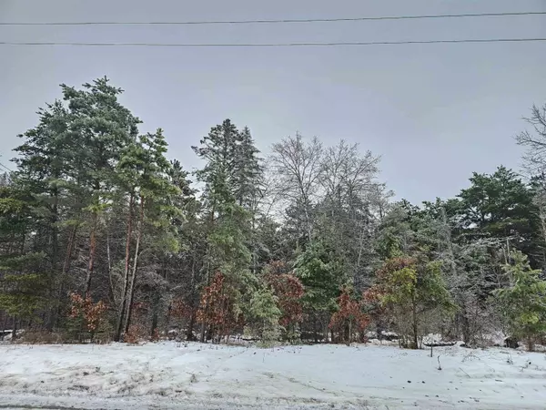 00 Dickerson RD, Lake City, MI 49651