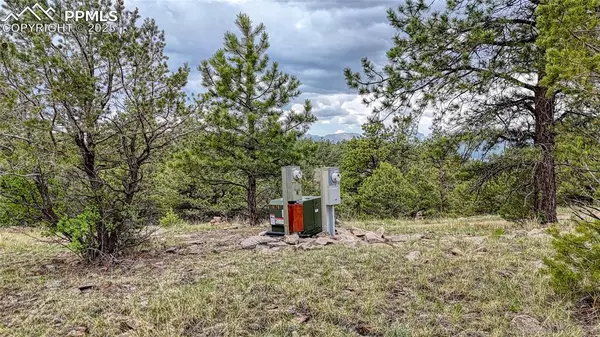 Westcliffe, CO 81252,44 Honeysuckle TER