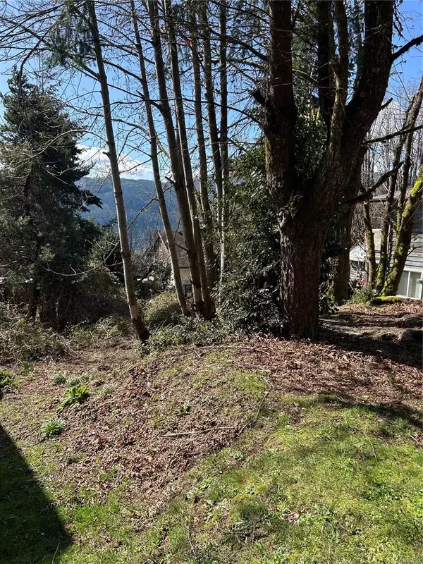 Youbou, BC V0R 3E1,LT 11 Cypress Rd