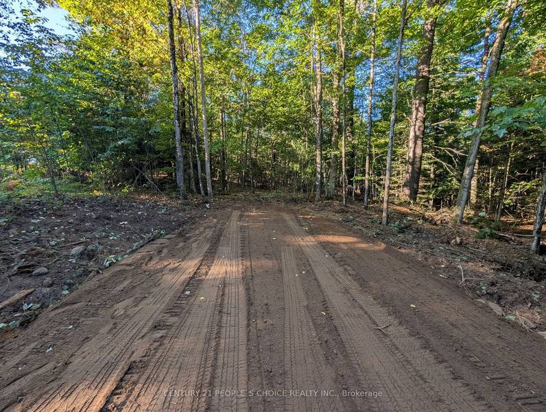 1055 Porkys RD, Minden Hills, ON K0M 2K0