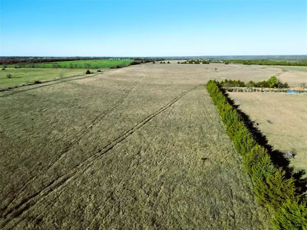 Wolfe City, TX 75496,90 ac County Road 4615