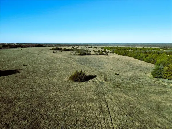 Wolfe City, TX 75496,90 ac County Road 4615