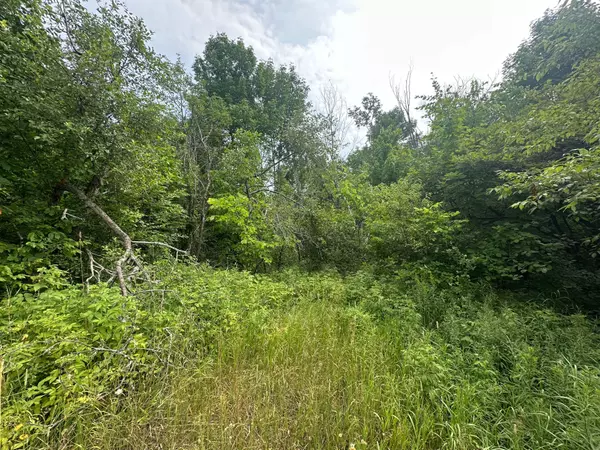 Marmora And Lake, ON K0K 2M0,0 Centre Line RD