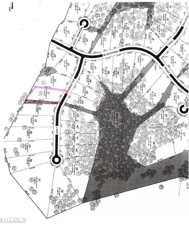 Galena, IL 61036,5 Goldenrod