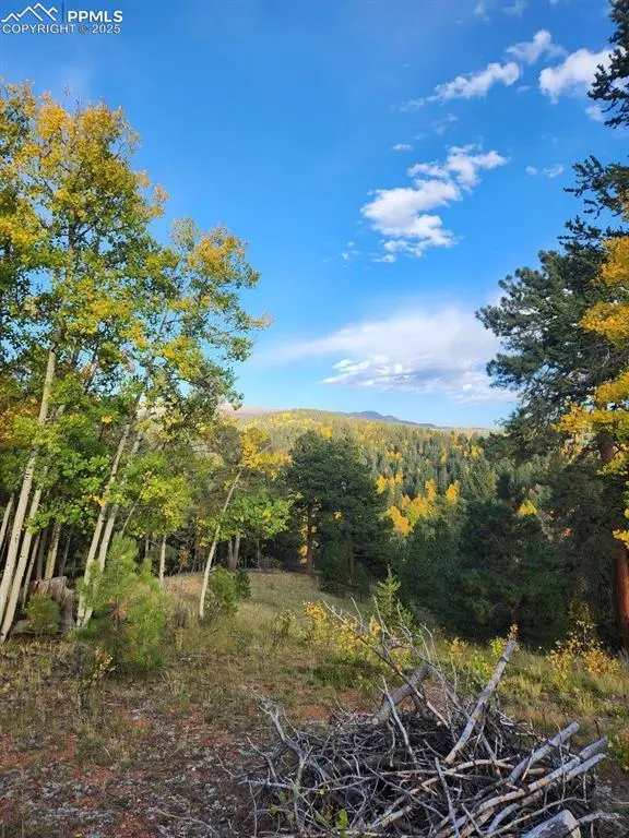 Cripple Creek, CO 80813,2642 YORKTOWN RD