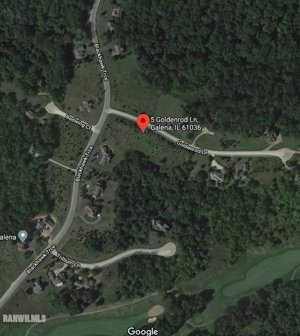 Galena, IL 61036,5 Goldenrod