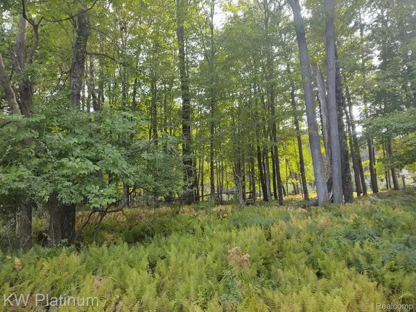 Stanwood, MI 49346,9552 FAWN LAKE DR