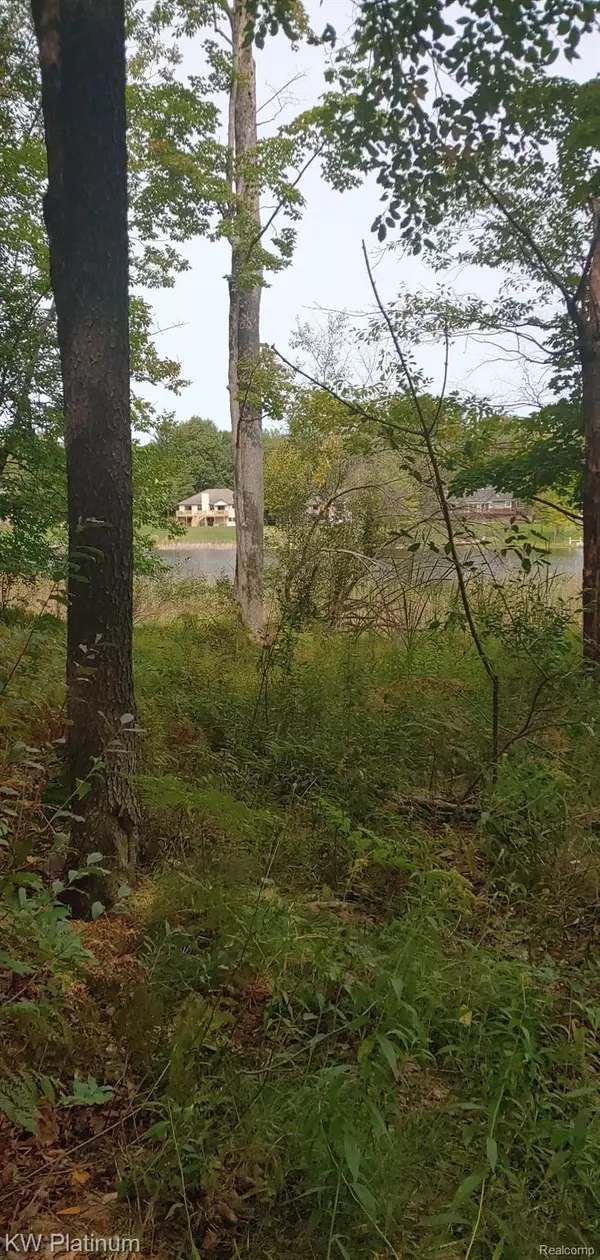 Stanwood, MI 49346,9552 FAWN LAKE DR