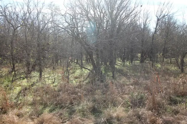 Bridgeport, TX 76426,Lot 21 Cheyenne Drive