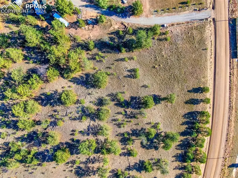 4397 Elkhorn RD, Hartsel, CO 80449