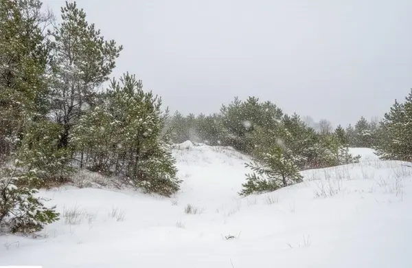 Parcel F-3 N 2 1/2 RD, Hanover Twp, MI 49620