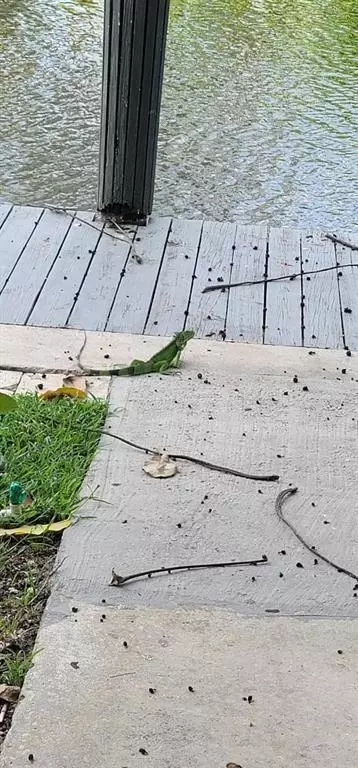 Fort Lauderdale, FL 33334,1401 NE 57th Pl #11