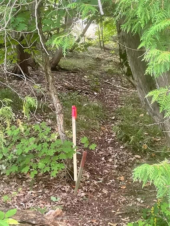 Trent Lakes, ON K0L 2J0,00 Adams-Cummings RD