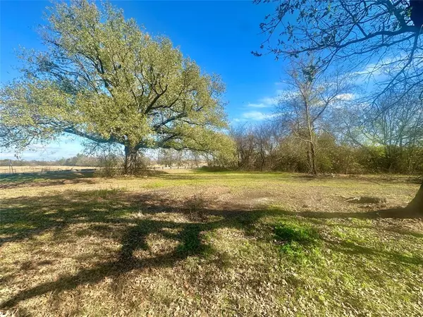 Sulphur Springs, TX 75482,TBD County Road 4824