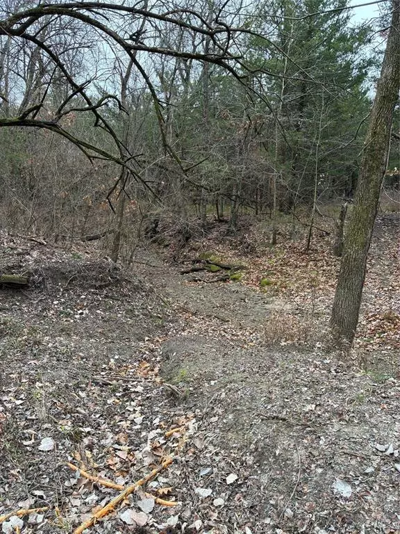 Windom, TX 75306,23 County Road 2950