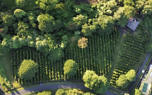 Holualoa, HI 96725,77-6301 KAUMALUMALU DR