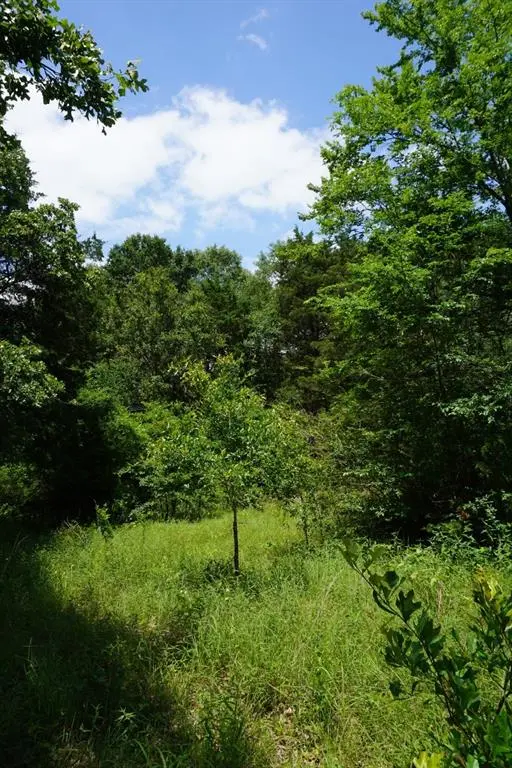 01 County Road 1200, Malakoff, TX 75148