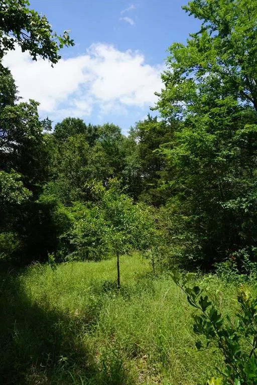 01 County Road 1200, Malakoff, TX 75148