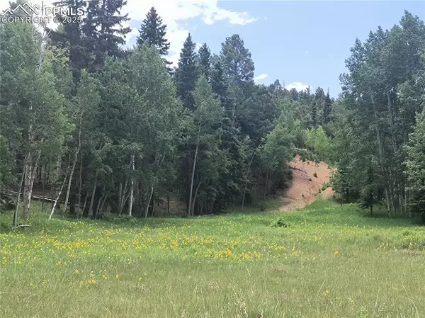 Divide, CO 80814,Will Scarlet DR