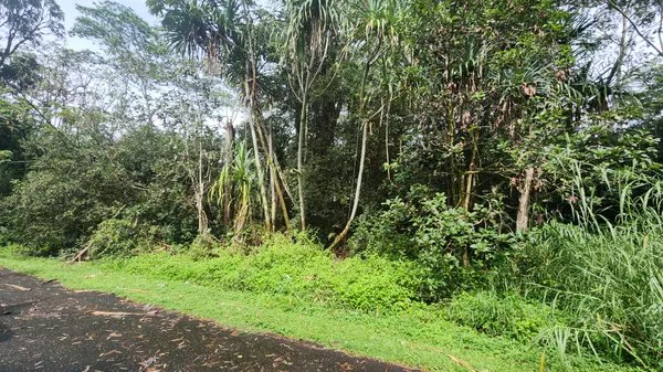 Pahoa, HI 96778,OHIKI ST