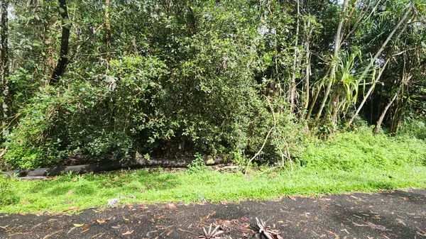 Pahoa, HI 96778,OHIKI ST