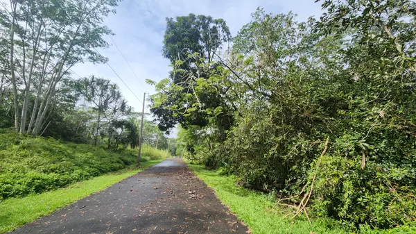 Pahoa, HI 96778,OHIKI ST