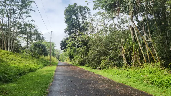 Pahoa, HI 96778,OHIKI ST