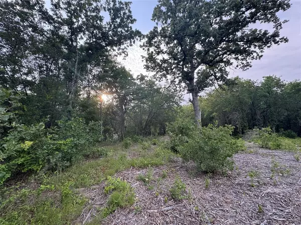 Nemo, TX 76043,1051 Rose Ct