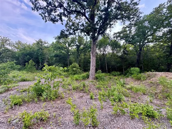 Nemo, TX 76043,1051 Rose Ct