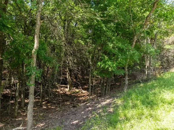 Whitney, TX 76692,17149 Woodlawn Drive