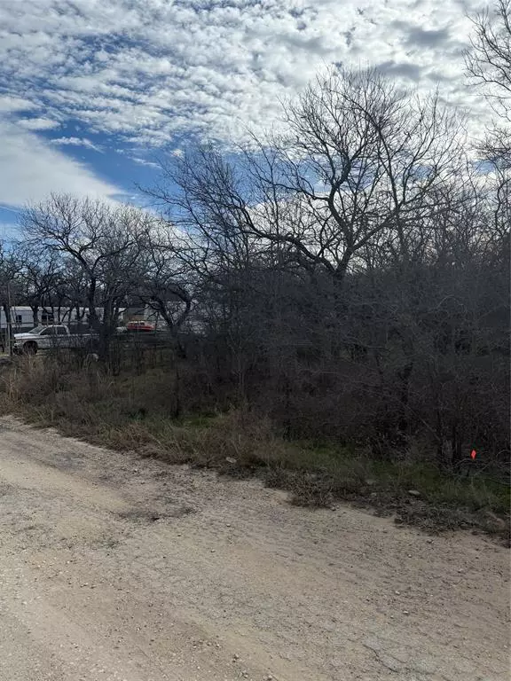 Bridgeport, TX 76426,0 Shady Oaks Drive