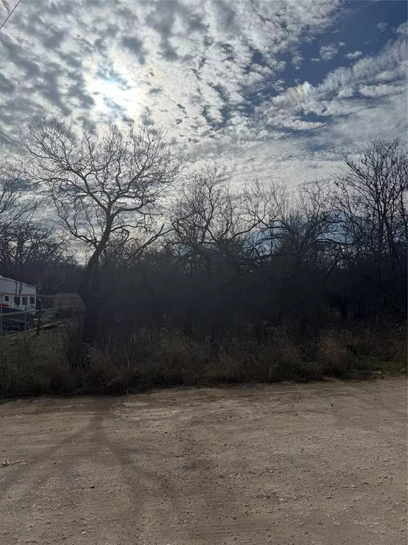 Bridgeport, TX 76426,0 Shady Oaks Drive