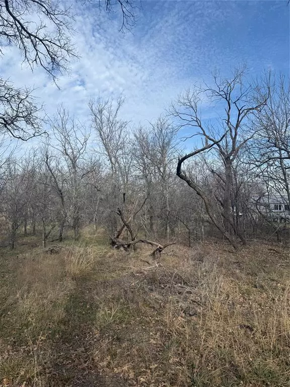 Bridgeport, TX 76426,0 Shady Oaks Drive