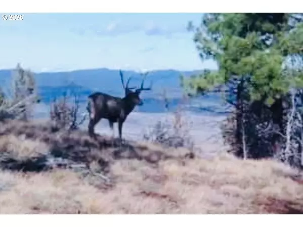 FS Rd 613, John Day, OR 97845