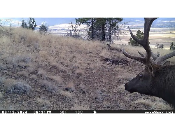 John Day, OR 97845,FS Rd 613